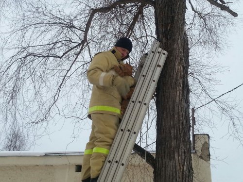 В ПОСЕЛКЕ ПАЛАТКА СПАСЛИ ЧУБАЙСА