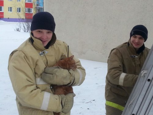 В ПОСЕЛКЕ ПАЛАТКА СПАСЛИ ЧУБАЙСА