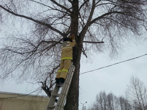 В ПОСЕЛКЕ ПАЛАТКА СПАСЛИ ЧУБАЙСА