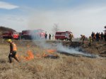 ПОТУШИЛИ ЗА ПЯТНАДЦАТЬ МИНУТ